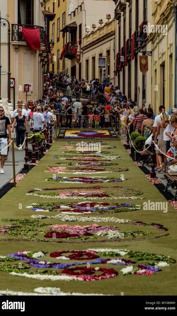 Красивый сад смотреть онлайн