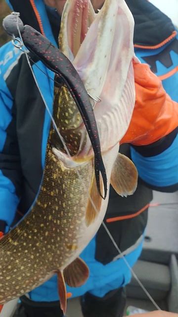 Relax слаг Oklahoma. Колян могëт. #рыбалкатамгдемы