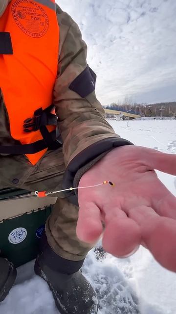 Уловистая приманка по плотве и окуню #fishing #рыбалка #belar смотреть онлайн