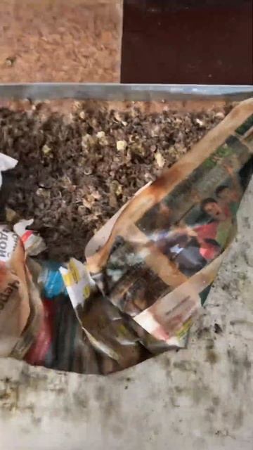 Каждое утро в моем курятнике начинается одинаково. Сн? смотреть онлайн