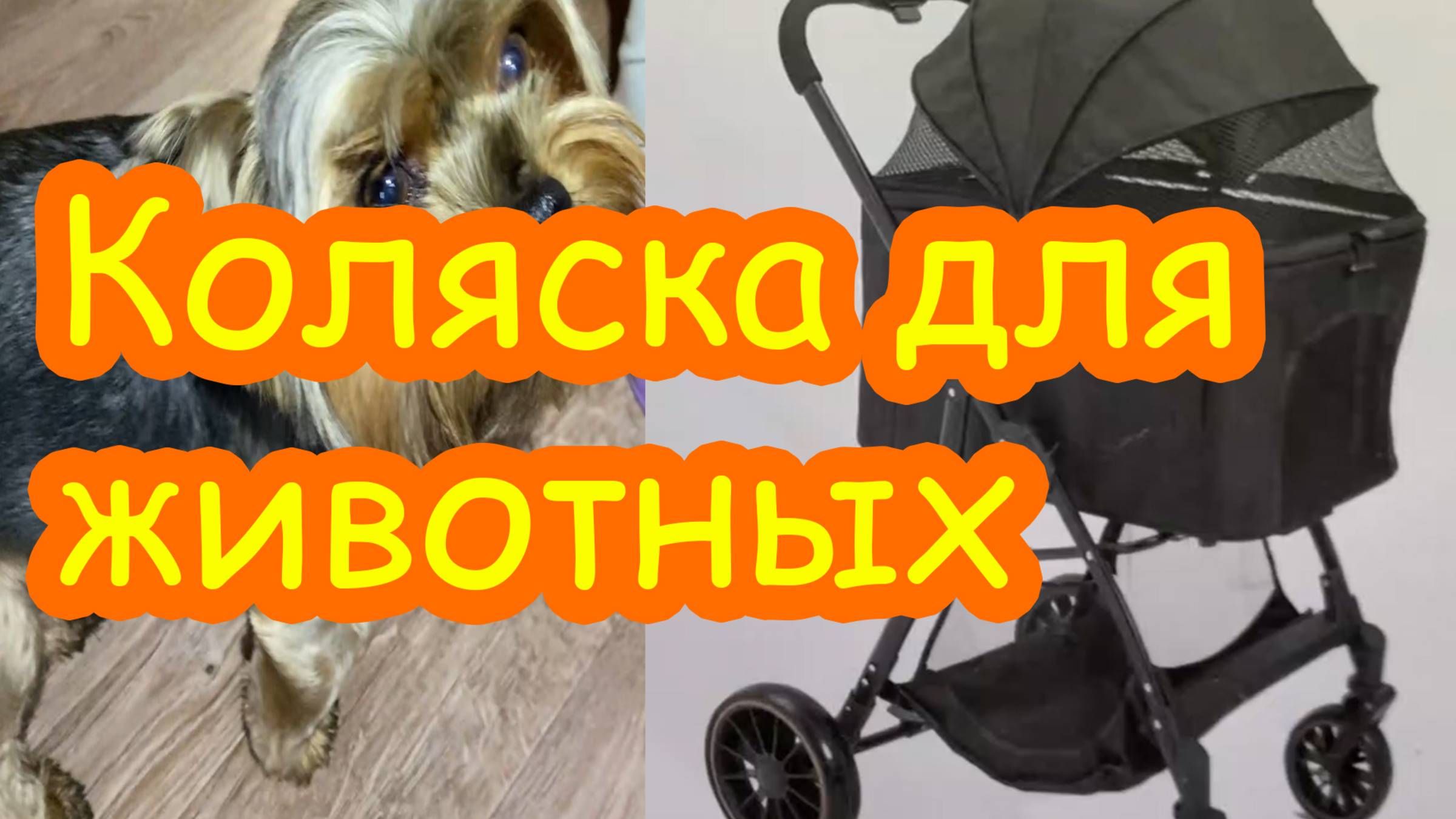 Коляска для животных за 50000р, как живут миллионеры.