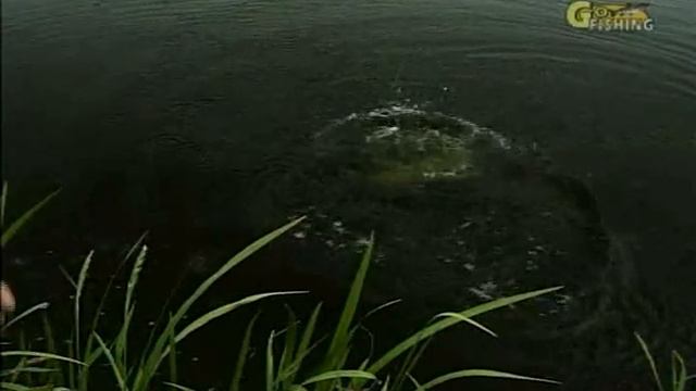 Рыбалка Щербаковы Выпуск 10 Воблеры, часть 1 смотреть онлайн