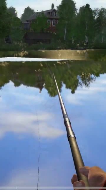 Карась серебряный карась золотой - РР 4 - 10.07.24