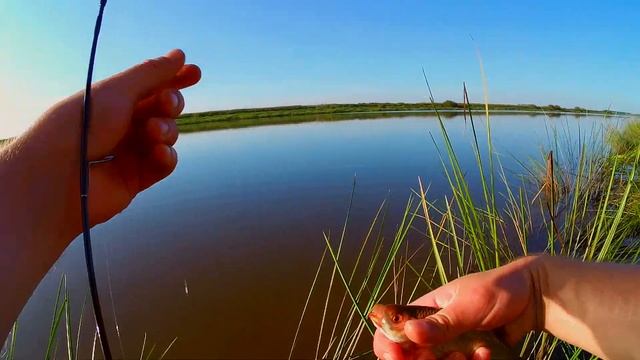 Бюджетная АЛЬТЕРНАТИВА для МОРМО/Рыба в ВОСТОРГЕ смотреть онлайн