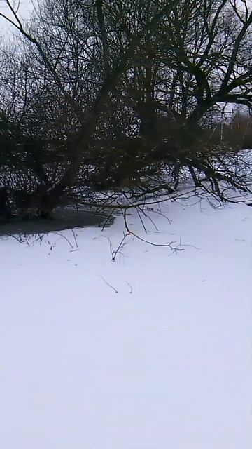 16 января 2025 г. смотреть онлайн