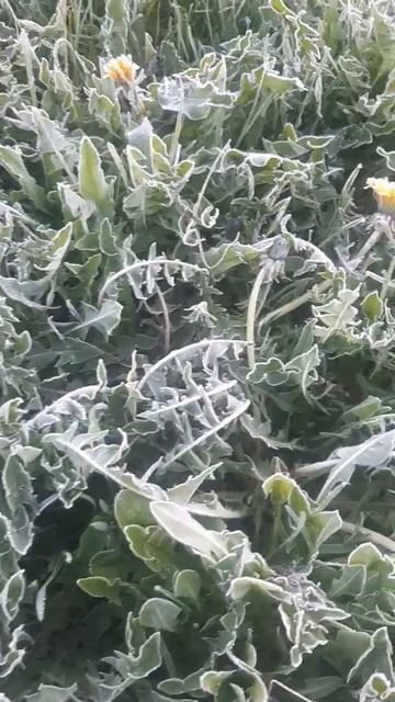 3 мая на улице -2. Еду на рыбалку с ночевкой. #рыбалка #пр? смотреть онлайн