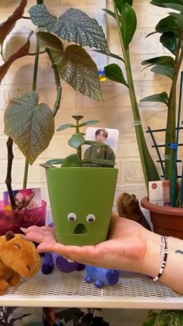 И каждого есть свое имя и карточка!#allinspb #kpopcafe #кейпопк? смотреть онлайн