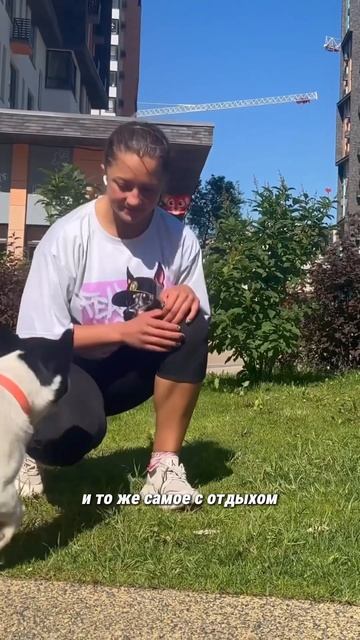 📍Набрала за 3 года 10 кг мышечной массы #набормышечной? смотреть онлайн