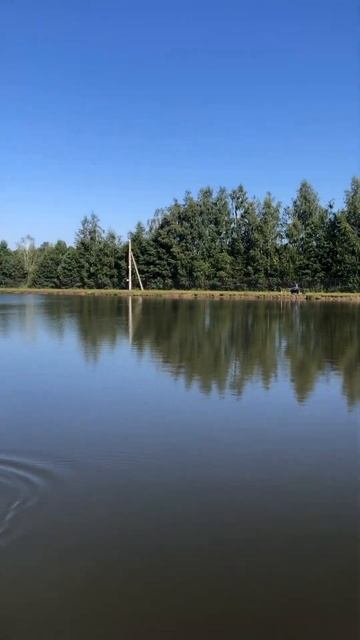 Поимка карпа на кукурузу! Платная рыбалка в Подмосков?