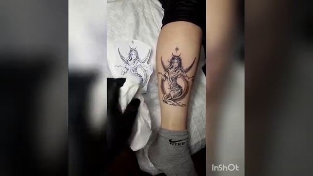 знак зодиака телец с добавлением... смотреть онлайн