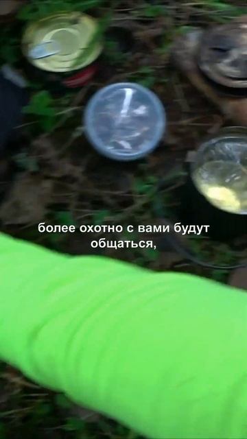 Правила безопасности при походе в лес. Возьми с собой ?