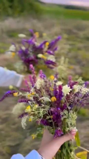 Полевые цветы смотреть онлайн