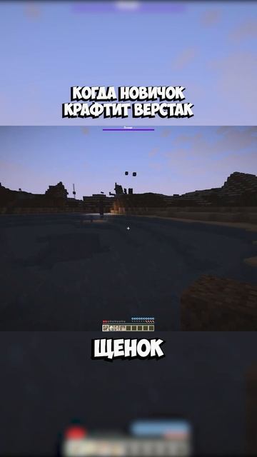 Minecraft - когда новичок крафтит верстак #minecraft #2b2t #videogames #s