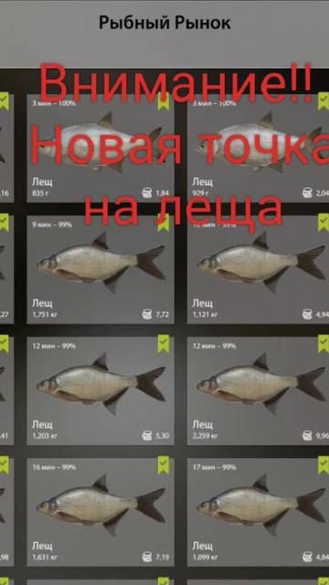 Внимание!! Новая точка на леща 32:22 наживка-чесночное те