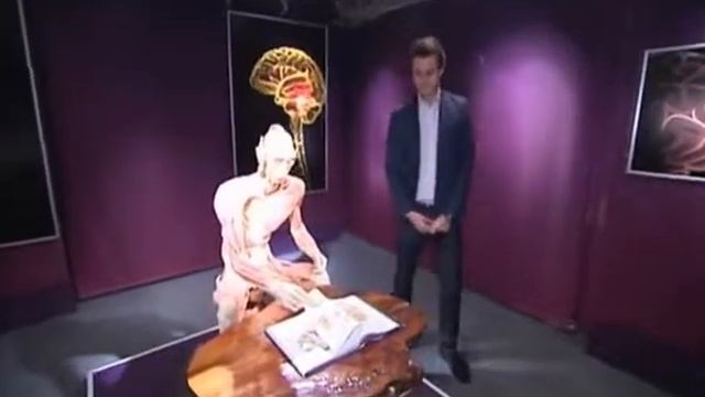 Виставка таємниці тіла. Новий канал смотреть онлайн