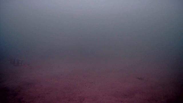 Рыбалка на Енисее. 2023.09.02(1) смотреть онлайн