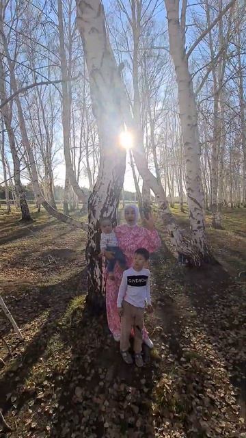 6 мая Берёзовый бор смотреть онлайн