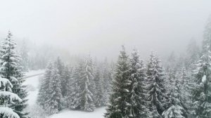 9 марта Иванов день. Что нельзя делать 9 марта. Народные традиции и приметы на 9 марта