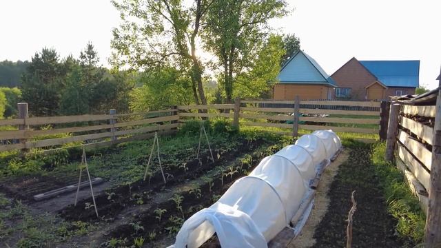Дела огородные от Натальи. Жизнь в деревне после переезда. смотреть онлайн