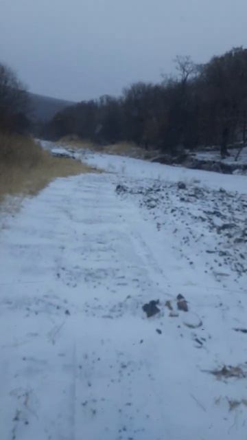 11 января 2025 г. смотреть онлайн