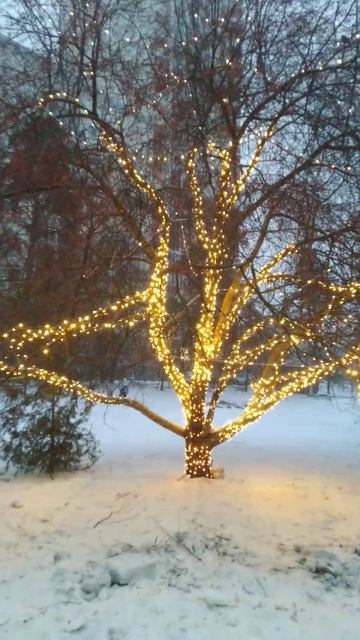 Гирлянда уличная нить, линейная смотреть онлайн