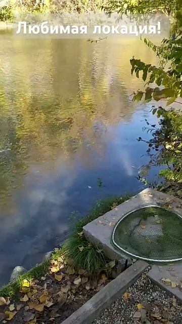 Любимая рыболовная локация - выбрался на рыбалку на ре смотреть онлайн