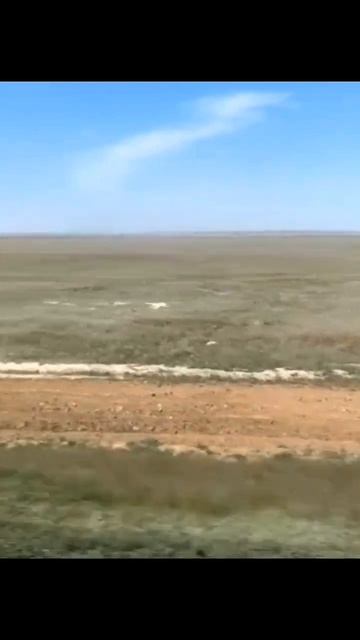 В дельте Волги (Астраханская область) смотреть онлайн