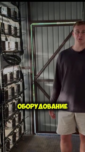 Майнеров обманули на 5 миллиардов рублей