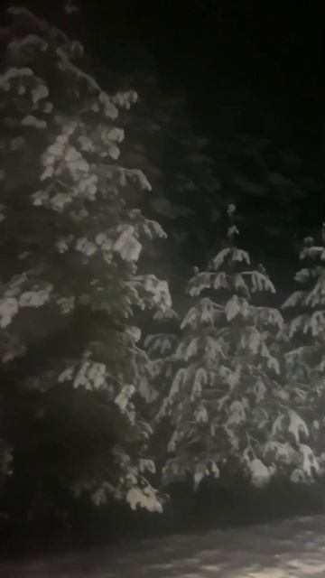 Красота природа#отдых#охота#рыбалка#на охоте#дорога #mu