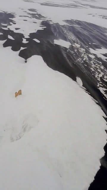 Давление 738 мм, в такую погоду не клюёт! #хобби #рыбак #и?