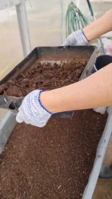 ГОТОВИМСЯ! ГРУНТ ДЛЯ РАССАДЫ лука, томата, перца, бакла смотреть онлайн