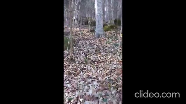 страшные истории. нечисть черти смотреть онлайн