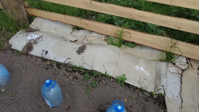 Одна на хозяйстве. Жизнь в деревне после переезда. смотреть онлайн