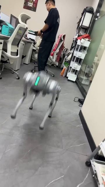 Завели робота собаку в офисе #собакаробот #роботсобак? смотреть онлайн