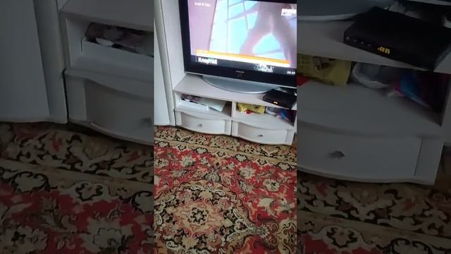 ТРИКОЛОР на два ТВ через ТЮЛЬПАНЫ 🏠📺📺💯❤️... смотреть онлайн