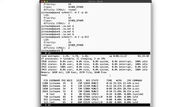 UNIX24-13-5 Advanced Programming in the UNIX Environment_ Week 13, Segment 5 - Processor Affinity смотреть онлайн