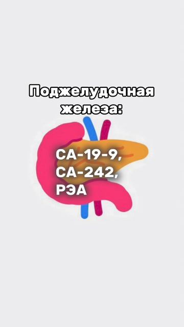 Онкомаркеры ЖКТ. Сохраняй, пересылай и подписывайся #з