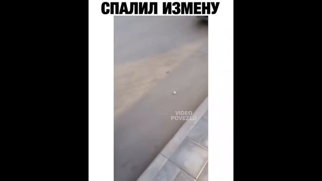 ЛУЧШИЕ ИНСТАГРАМ ПРИКОЛЫ 2020  сме до слез