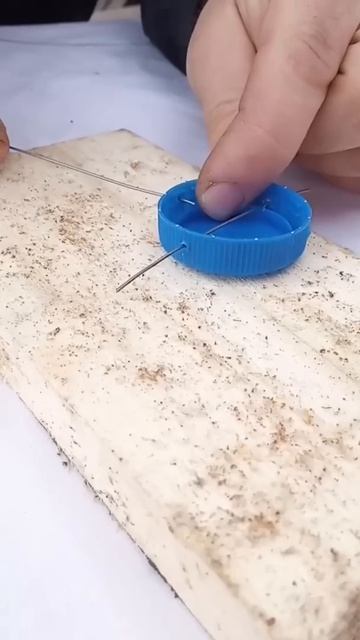 Из какой области смотрите? #shorts #рыбалка #рыбанутый