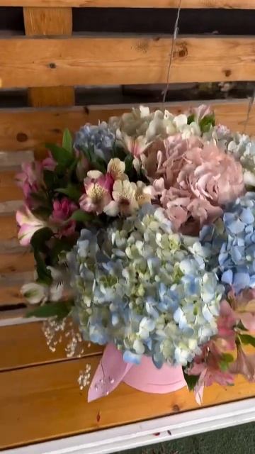 #hydrangea#macrophylla #hortensia#гортензия#garden#гортензія#flowers #park#jardin смотреть онлайн