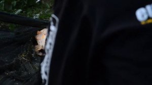 Angeln in Frankreich. Vauban