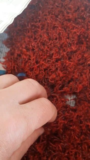 Рыболовный магазин время работы с 4 утра до 8 вечера. Бе смотреть онлайн