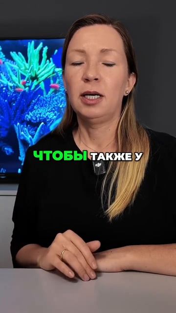 Правила для гостей в посуточной аренде #германия #недв смотреть онлайн