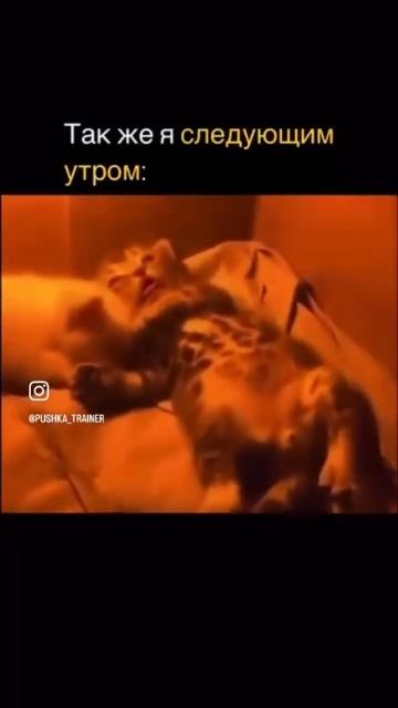 Не болят мышцы после тренировки? 🤔 Это хорошо или пло? смотреть онлайн