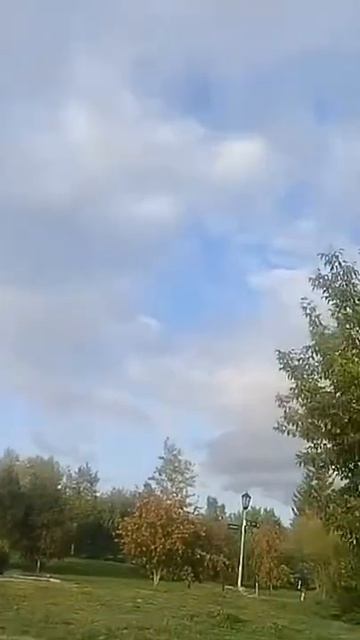 лесок табочёк смотреть онлайн