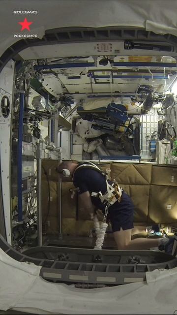 #Спорт на МКС. Занятия на американской беговой дорожке смотреть онлайн