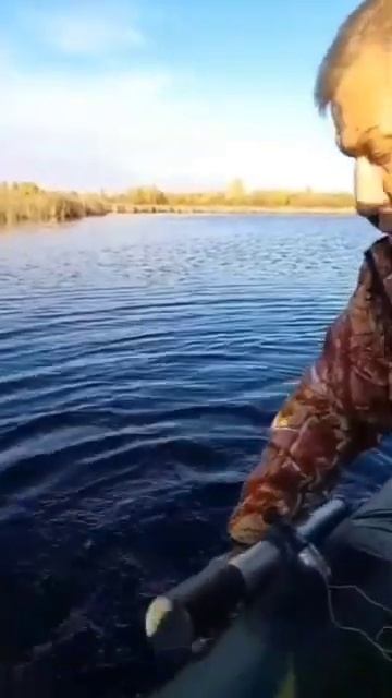 #shorts Рыбалка на ЖЕРЛИЦЫ ! Хитрая ЩУКА не хочет идти в Л? смотреть онлайн
