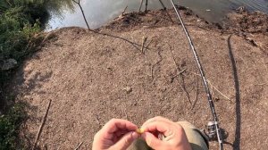 50 кг Карпа. Сумасшедшая рыбалка в Мордовии. Рецепт ухи