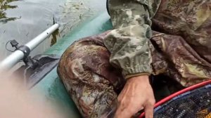 Качуг, рыбалка на реке Лена (август 2024)