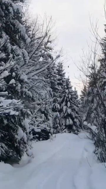 Зимняя сказка ❄️ Башкирия, Ишимбайский район, Ишеево смотреть онлайн